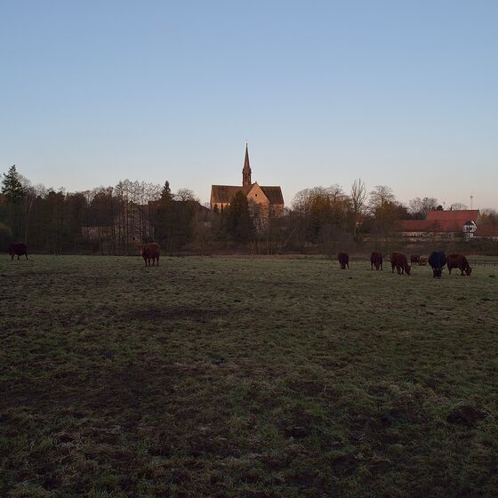 Blick vom Speisesall zum Kloster